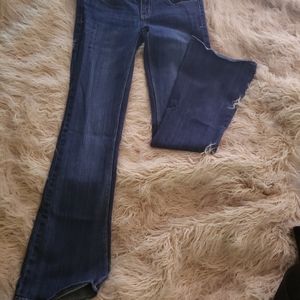 AE Artist jeans